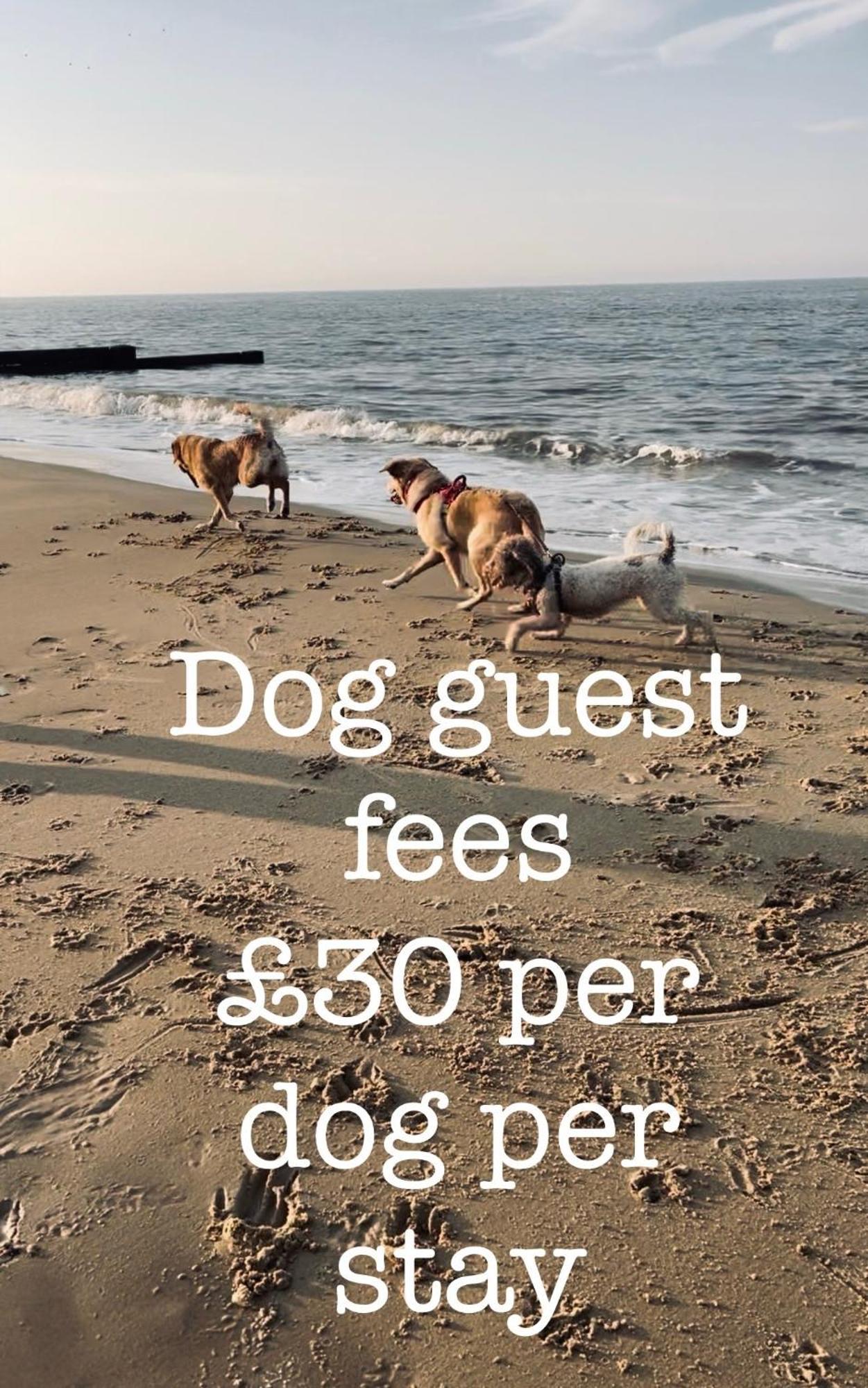 Vila Coastal Terrace Dogs Welcome Optional Hot Tub Sea Palling Exteriér fotografie